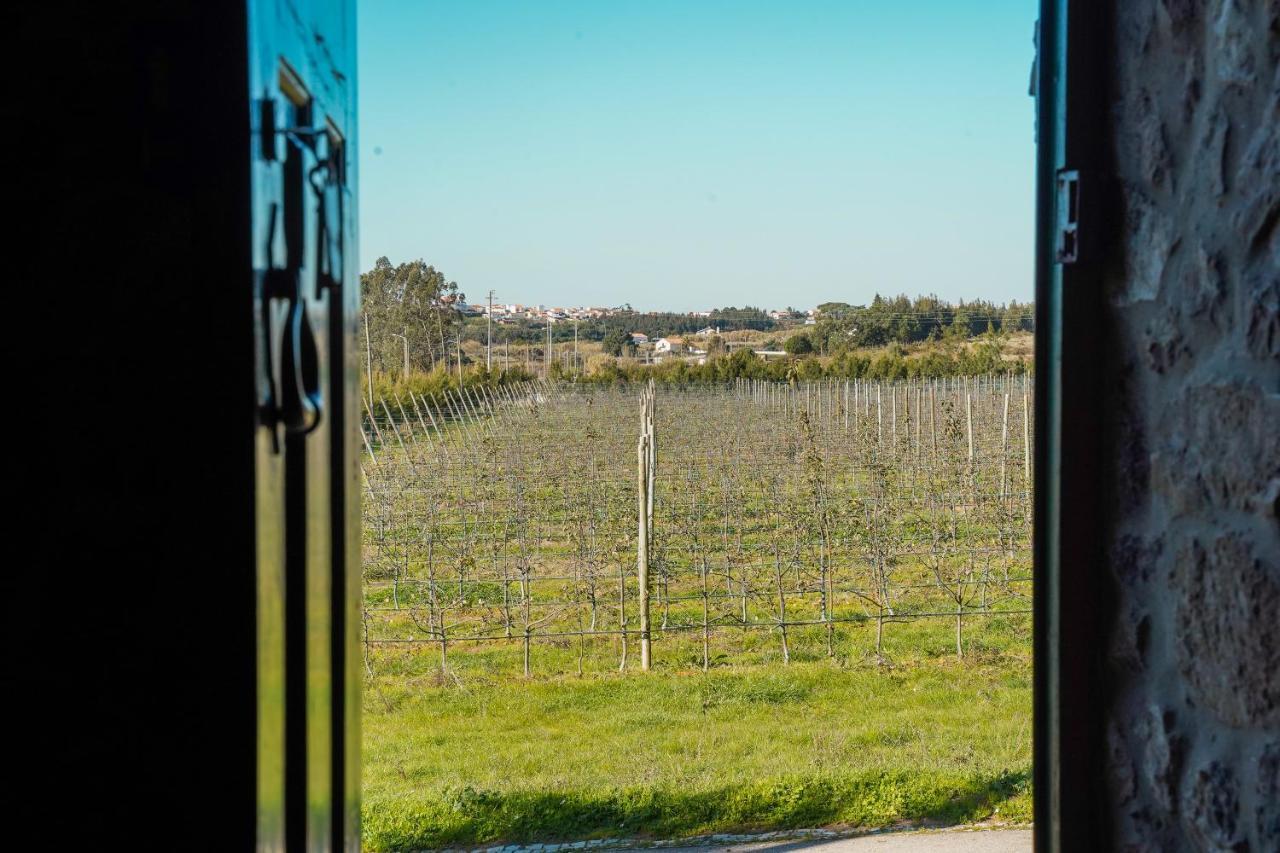 Casa Rustica, Perto Do Castelo De Obidos Villa Bagian luar foto